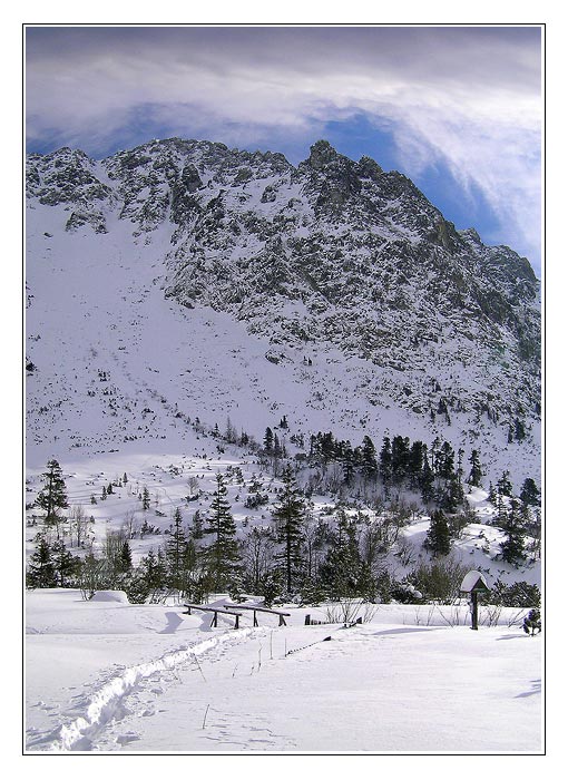 Pri Popradskom plese