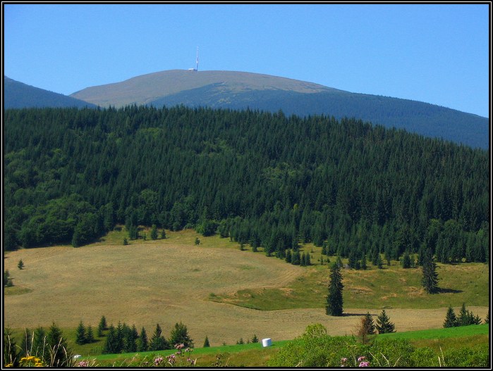 Kráľova