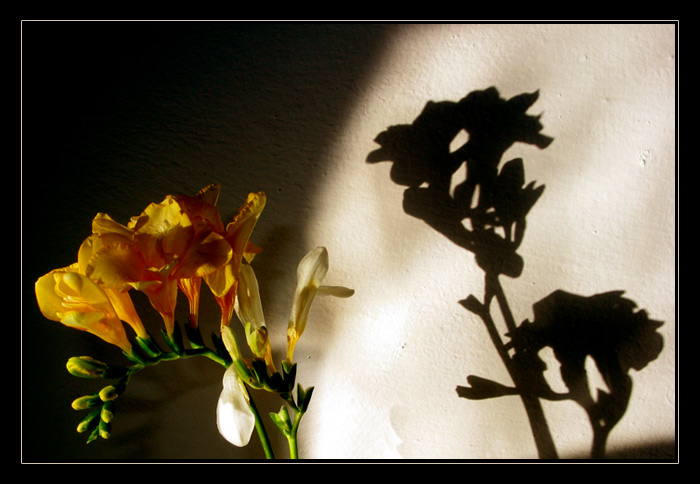 Duet
