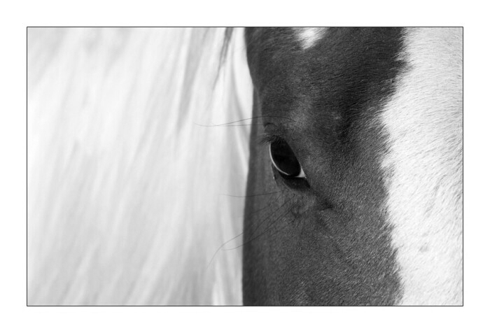 communication-bw