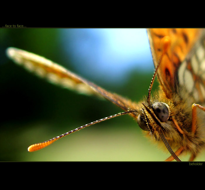 ...face to face...
