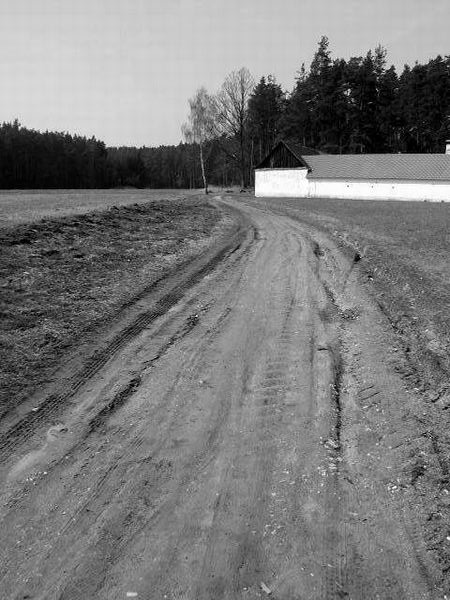 Předjaří