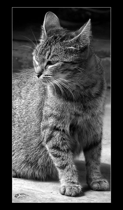 Nebezpečný pohľad