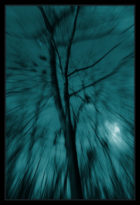 strach z nocneho lesa