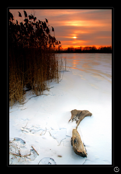 Dunajská západovka