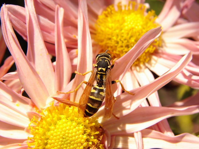 ...preco nepreletii?!)...