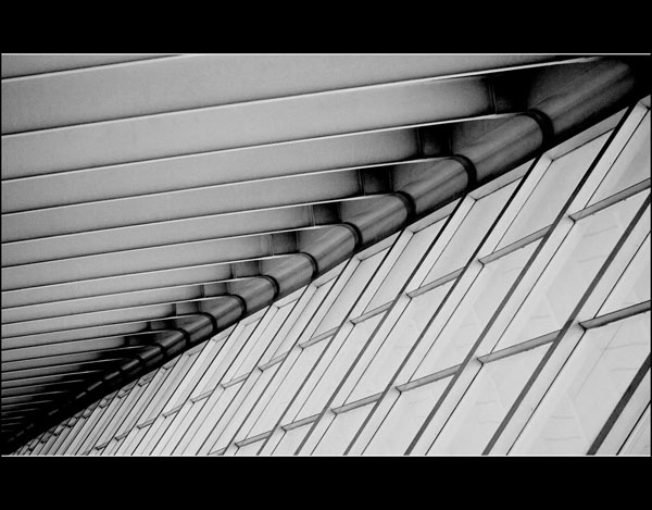 liiiiinie