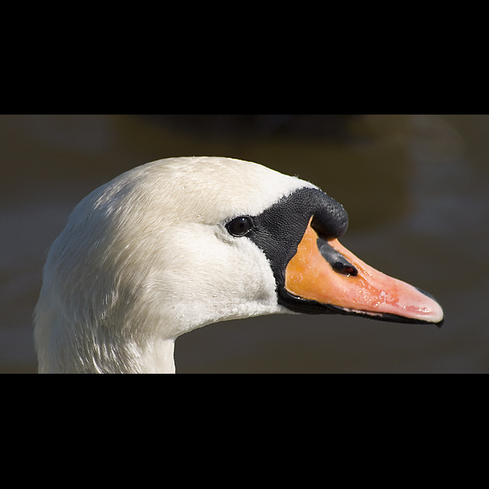 ...myslíte, že má výraz?