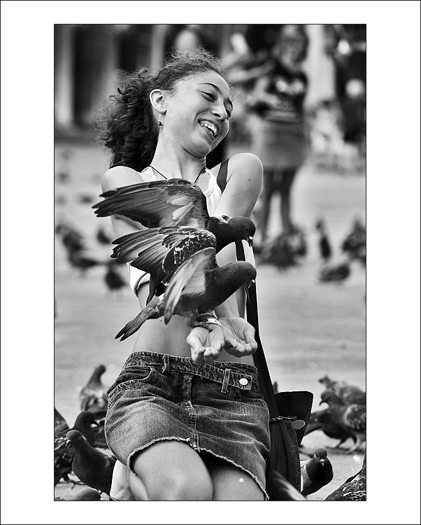 Krmení dravé zvěře ...