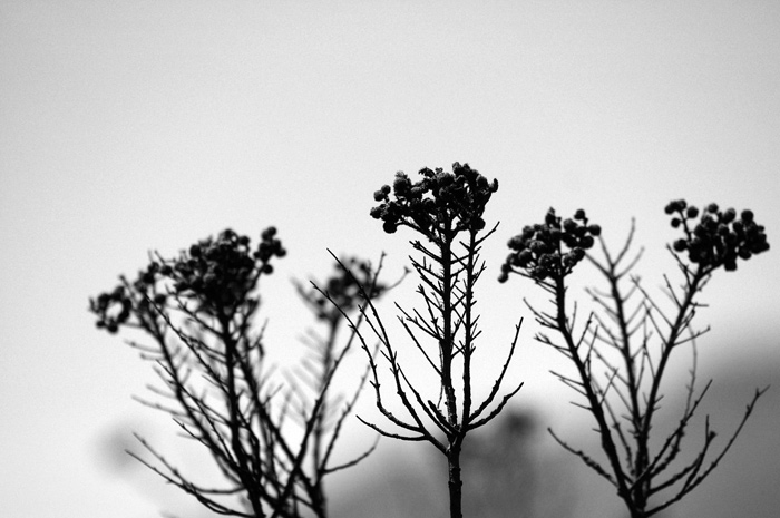 The Silent Void