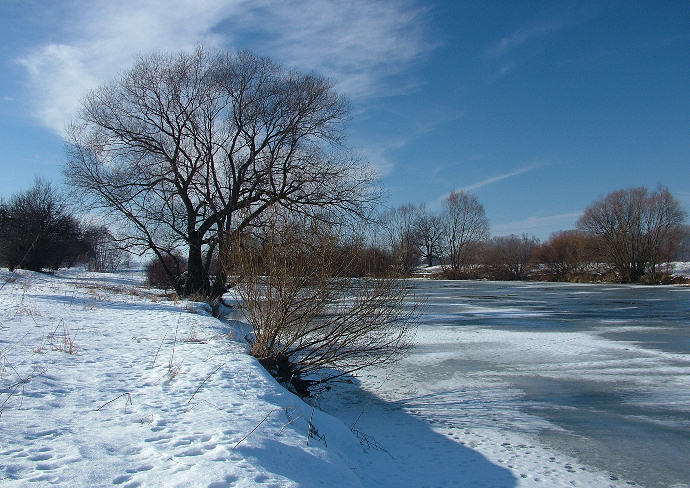 Morava v zime