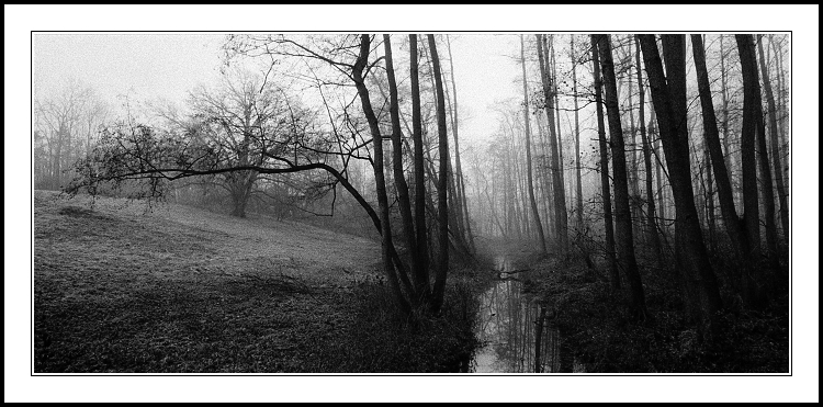 Návraty do veltruského parku IX/C
