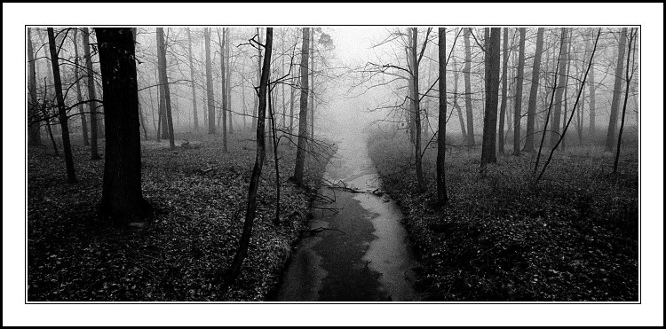 Návraty do veltruského parku IX/E