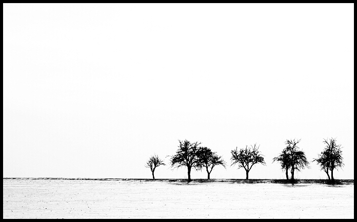 Příliš mnoho sněhu