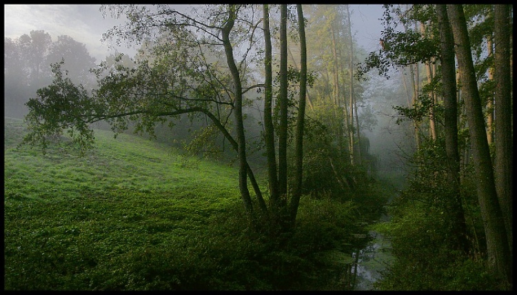 Návraty do veltruského parku X.