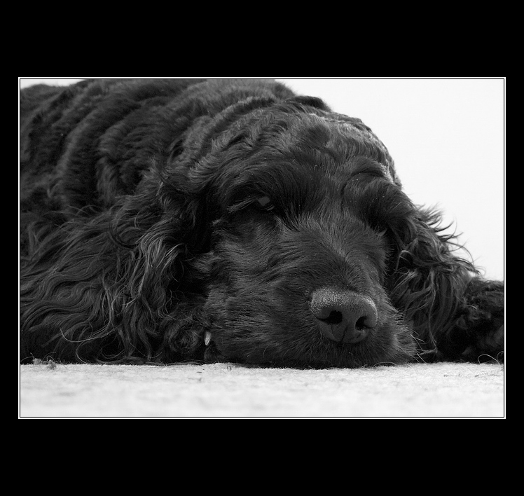 Nečum na mě s tou černou krabičkou!