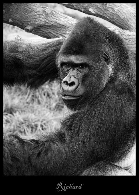 vítěz 12ti melounů