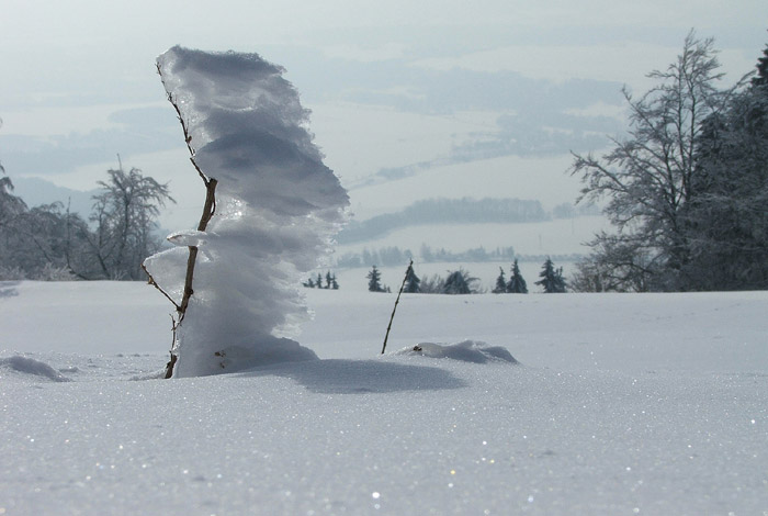 kam vitr tam namraza