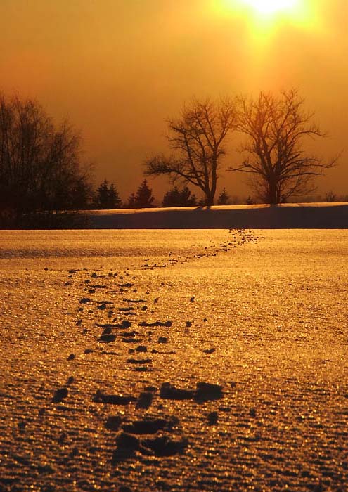 cestickou k zapadu...