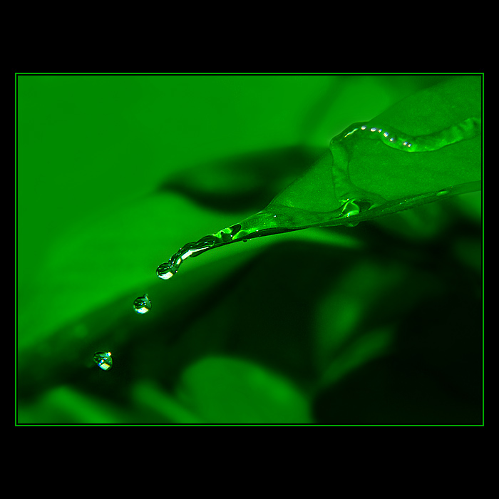 ***AQUA***