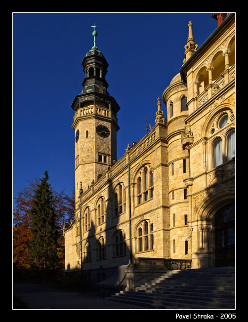Muzeum