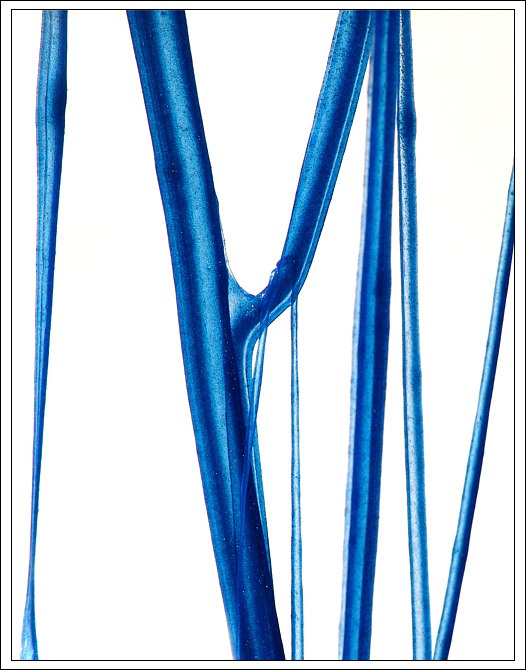 Ze života plastelíny