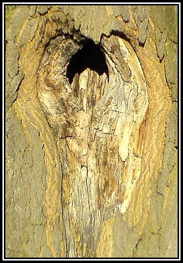 Kouzla matky přírody