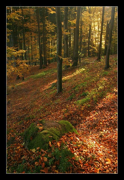 Podzim