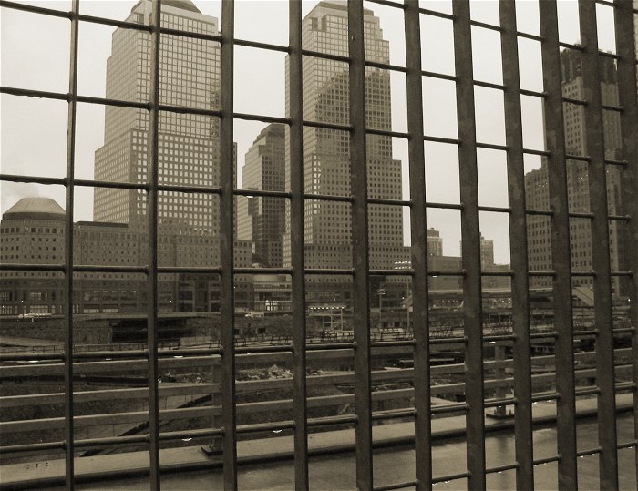 Mriezkovka newyorkská