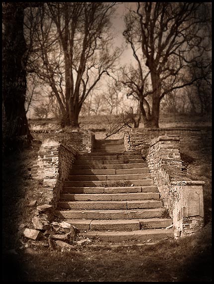 Z Břevnovských zahrad