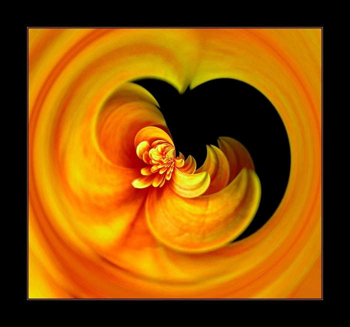 love-apple