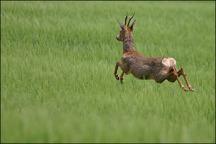 moc dlouho neotálel