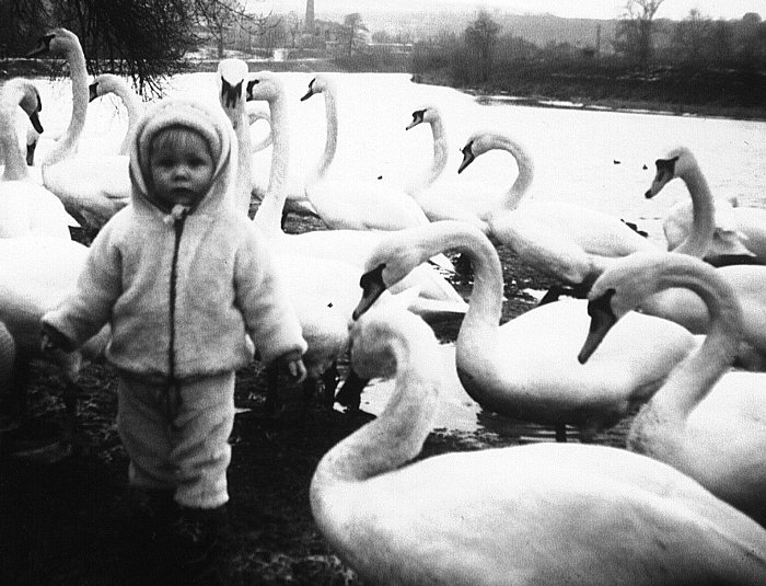 \"Ptačí chřipka...\" Co to je ???