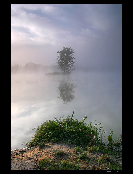 Watermark