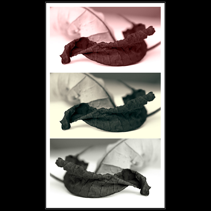 Metamorphosis