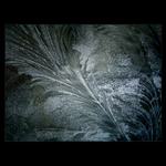  - magic winter -