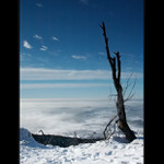 Ještědské pohledy I.