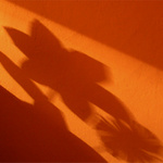 Květiny od mého chlapečka