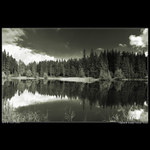 Vrbické pleso