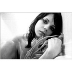 zvadly tulipany.....