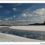 *Novozámecký rybník*