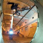 tailwhip