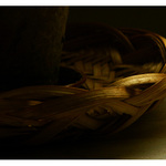 Osvícené (nevyjádřený podmět /to proutí/ :D)