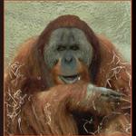 nemáš cigárko kamaráde? ...