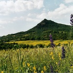 Košťálov