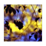 ** BÝTI BÁSNÍKEM **