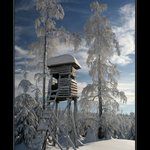 Myslivecká kazatelna