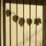 příběh jednoho draka II.