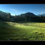 -- ráno na Zverovke --