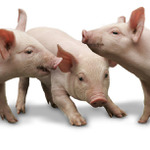 Pozvánka na seminář